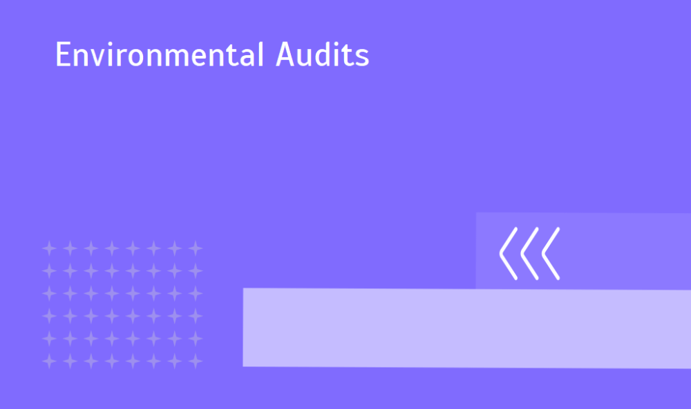 Environmental Audits